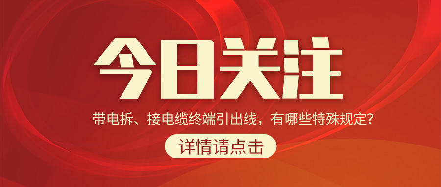 带电拆、接电缆终端引出线，有哪些特殊规定？